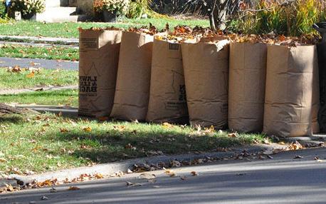 yard waste preparation